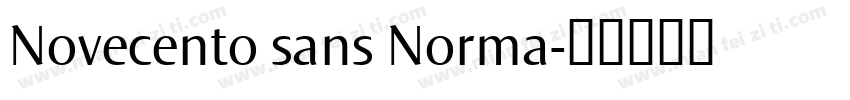Novecento sans Norma字体转换